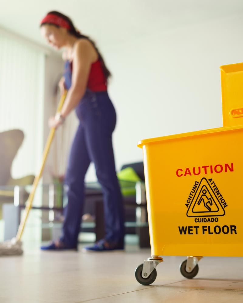 Professional Maid Services Whetstone Az