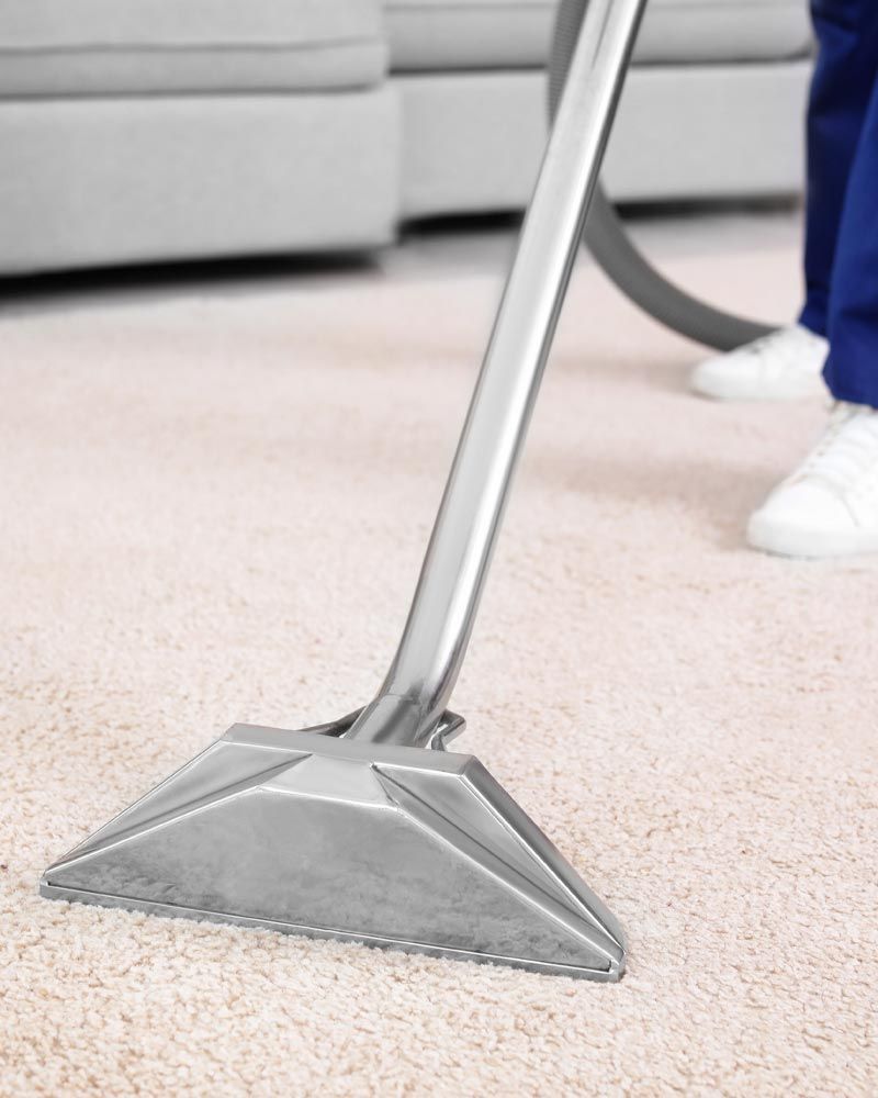 Move Out Carpet Cleaning Saint David