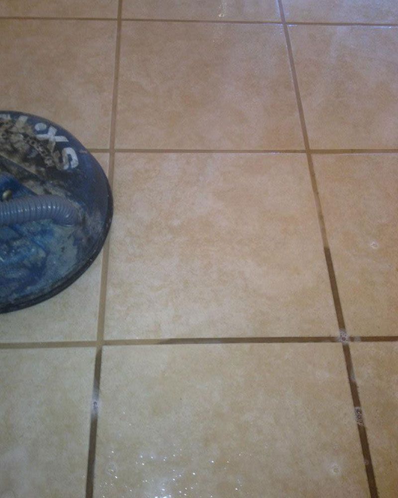 Professional Tile Grout Cleaning Benson
