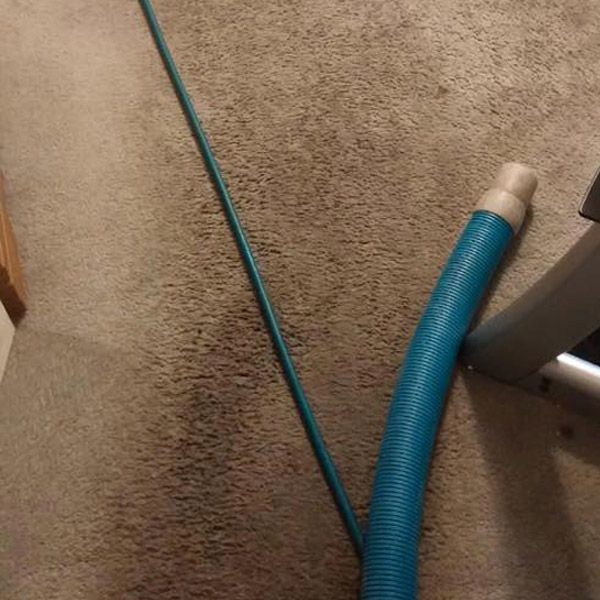 Carpet Cleaning Stain Removal Before