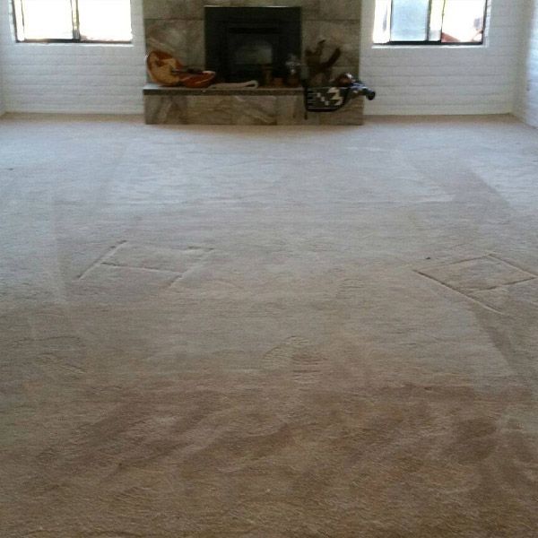 Professional Carpet Cleaning After