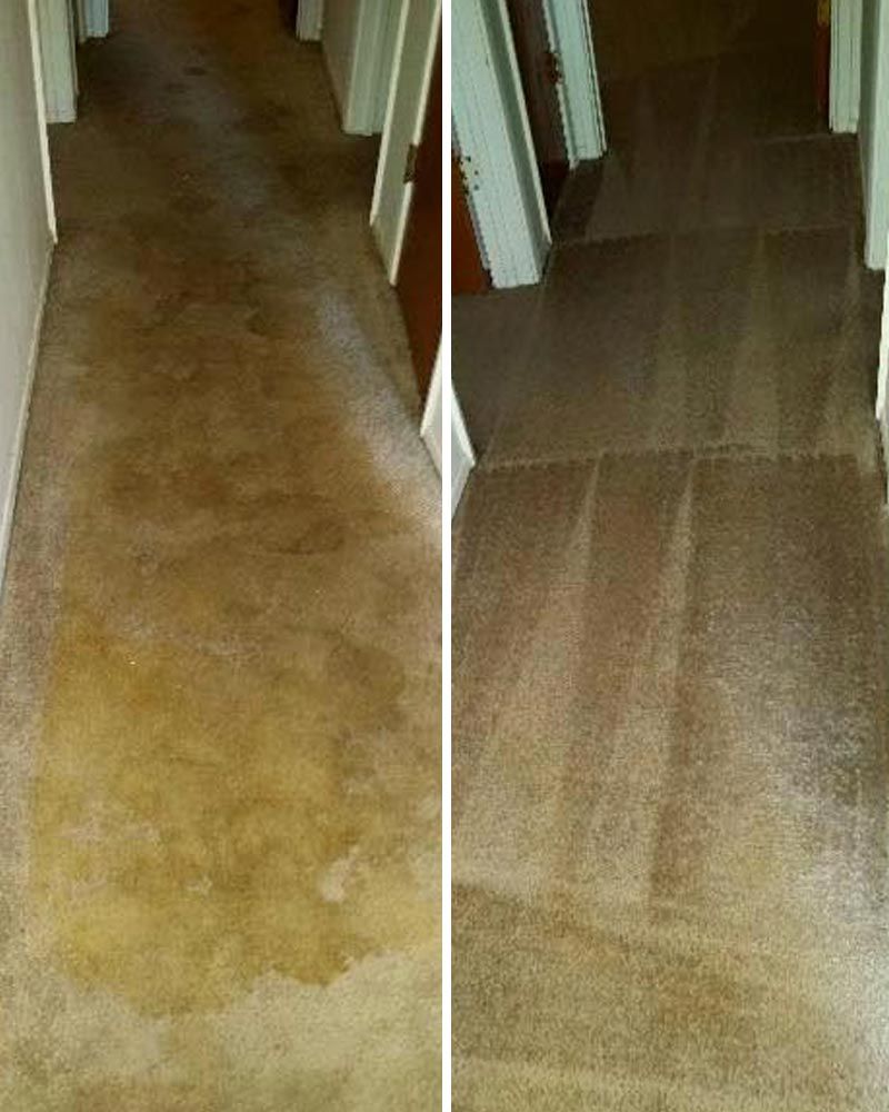 Before And After Stain Odor Removal Elfrida