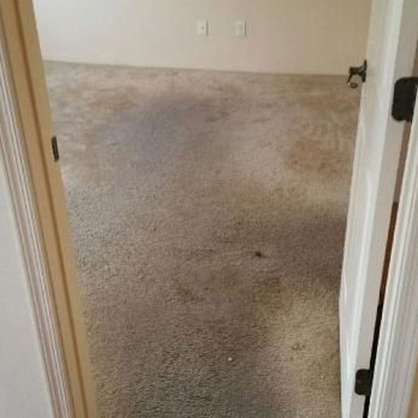 Carpet Cleaning Results Before