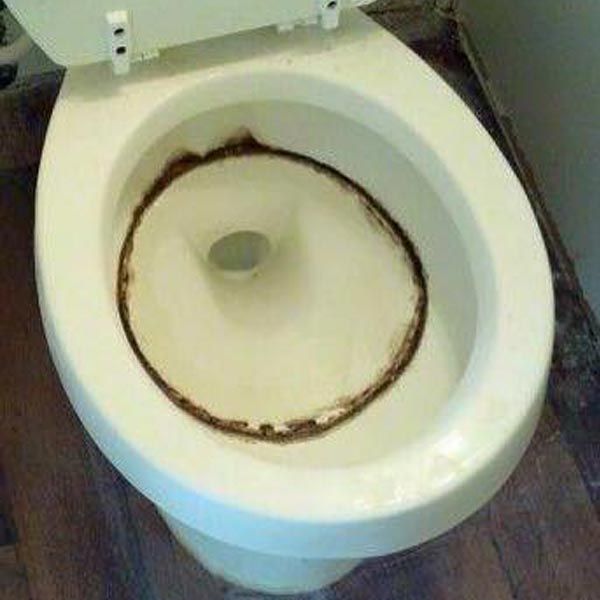 Toilet Cleaning Before