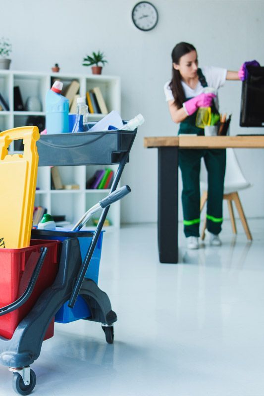 Saint David Janitorial Cleaning Services