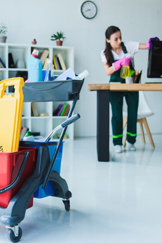 Sunsites Janitorial Cleaning Services